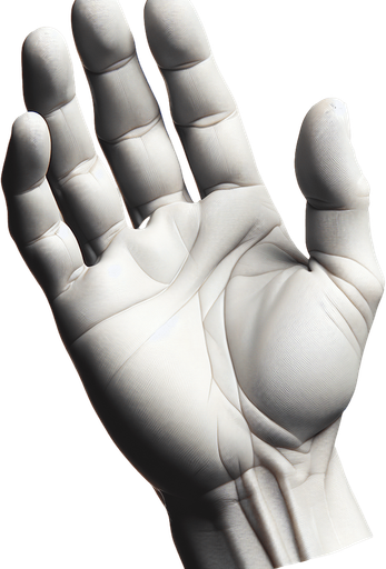 Hand.
Single Game Texture. In-Game asset. 2d. Blank background. High contrast. No shadows.