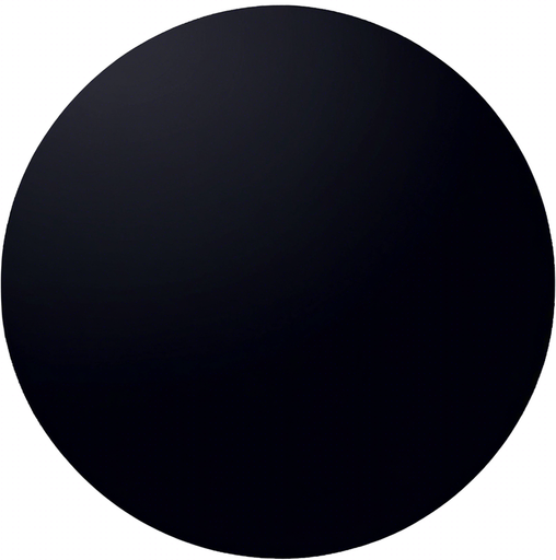 Make the circle completely black on all pixels.