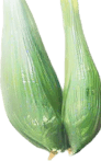 Thai rice