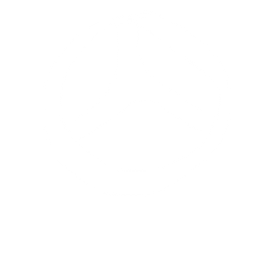 gerçekçi direksiyon. No background. Transparent background. Blank background. No shadows. 2d. In-Game asset. flat