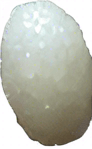 Long thin grain of rice