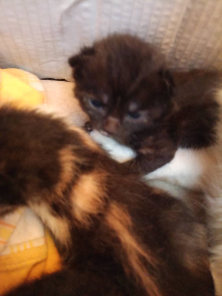 topic-community-background