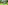 game-post-background