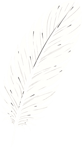 beyaz kaz tüyü..
In-Game asset.  2d.  High contrast.  No shadows