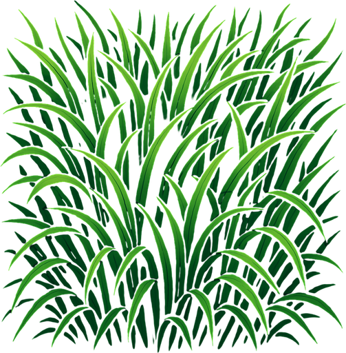 top down view of long grass.
In-Game asset.  2d.  High contrast.  No shadows