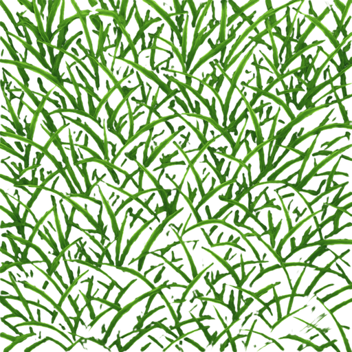 Un pasto desde arriba realista.
In-Game asset.  2d.  High contrast.  No shadows. Realista