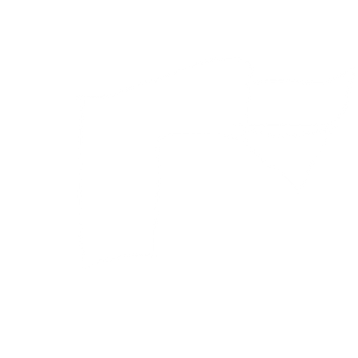 Gun BB gun. No background. Transparent background. Blank background. No shadows. 2d. In-Game asset. flat