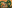 game-post-background