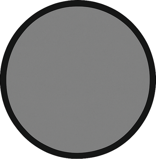 grey dot at the center medium size 2d no background.
In-Game asset.  2d.  High contrast.  No shadows