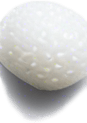 One white grain of rice