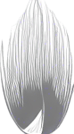 Long thin grain of rice