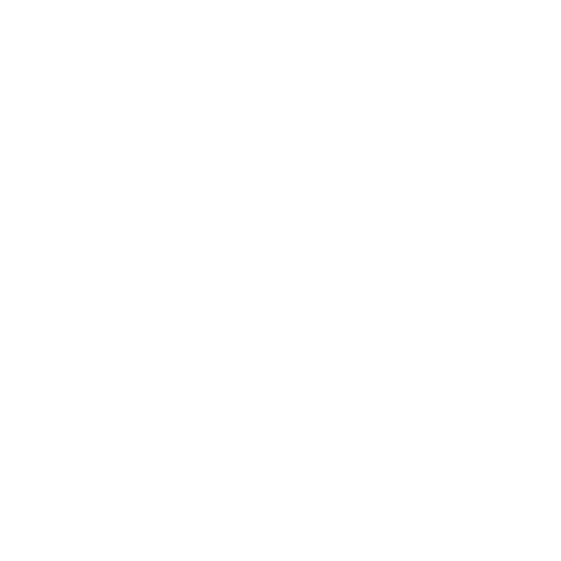 Coin icon
. No background. Transparent background. Blank background. No shadows. 2d. In-Game asset. flat