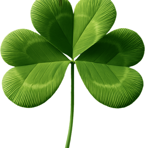 It should be 4 leaf clover instead of 3