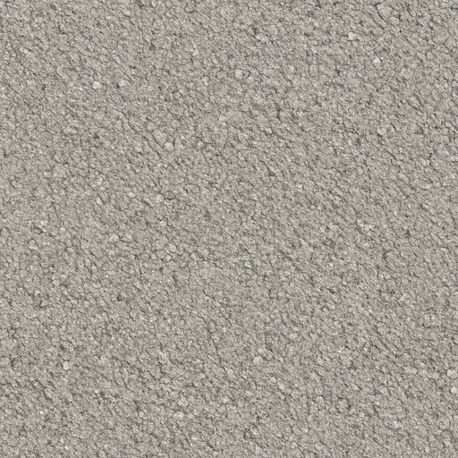 Light grey asphalt texture. Top view