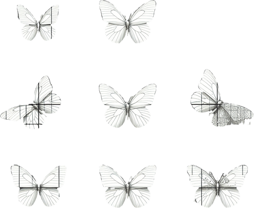 detailled frames of a White butterfly flight.
Zenith view. Grid of frames. Blank background.