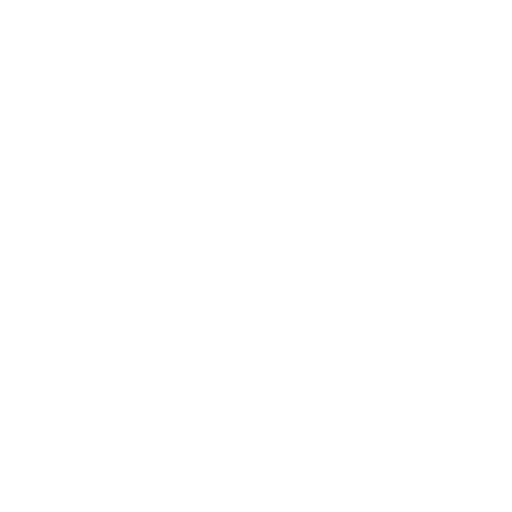 Standart coin. No background. Transparent background. Blank background. No shadows. 2d. In-Game asset. flat