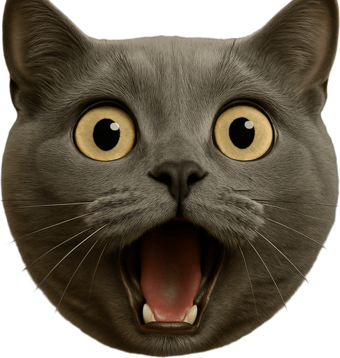 exagerate expression