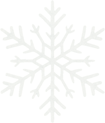 white snow flake
