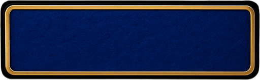 Keep the shape but make the material a blue felt with a golden border around it.