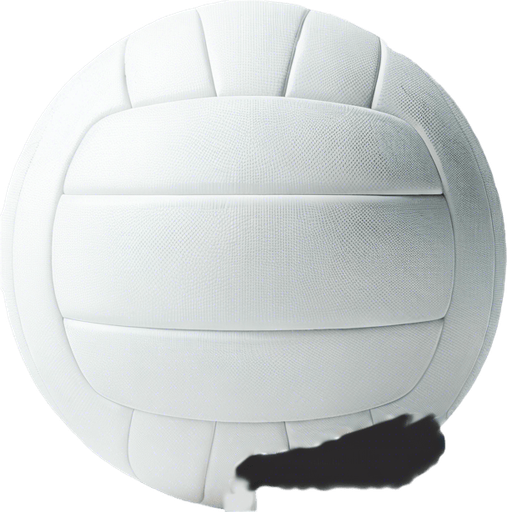 volley ball