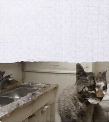 clean it up, it looks horrible