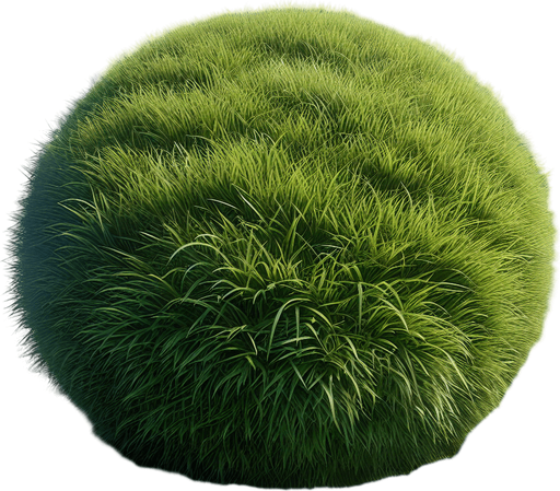 grass.
Single Game Texture. In-Game asset. 2d. Blank background. High contrast. No shadows.