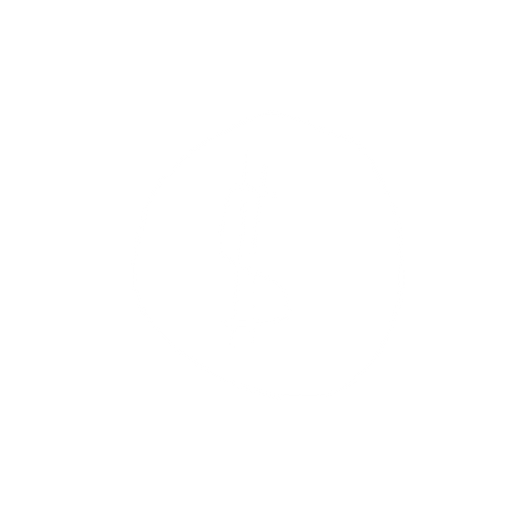 coin
. No background. Transparent background. Blank background. No shadows. 2d. In-Game asset. flat