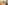 game-post-background
