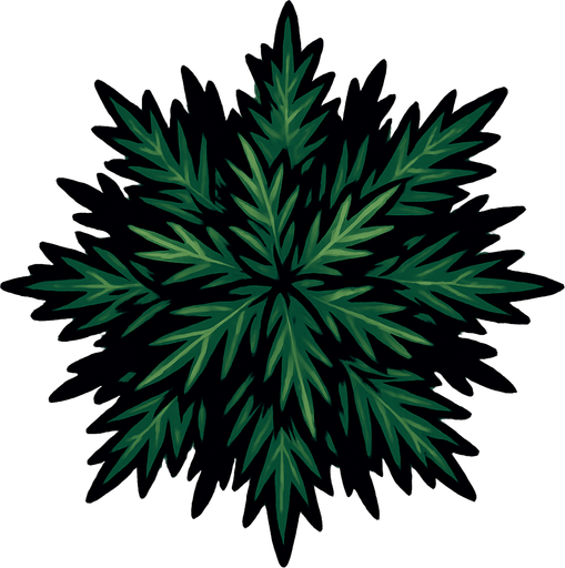 pine tree seen from above.
In-Game asset.  2d.  High contrast.  No shadows