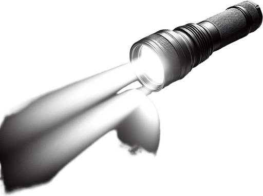 craete a flashlight light.
Single Game Texture.  In-Game asset.  2d.  Blank background.  High contrast.  No shadows