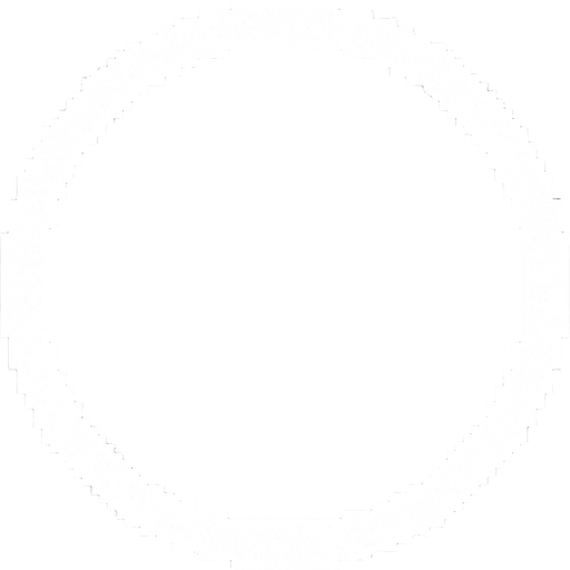 A white circle which Isnt filled in.
In-Game asset.  2d.  High contrast.  No shadows