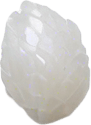One white grain of rice