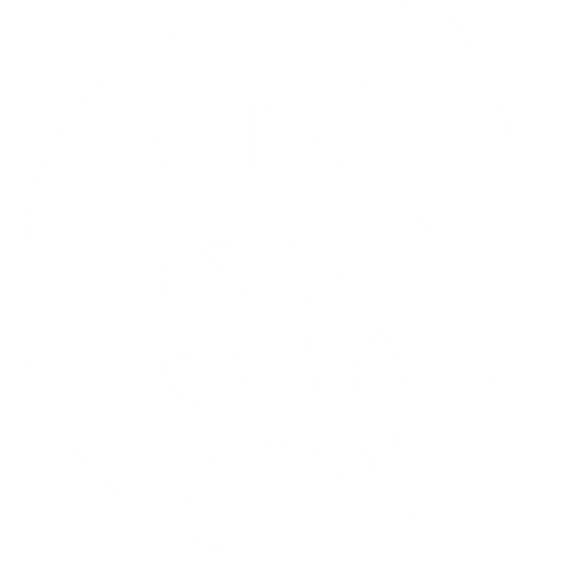 A golden shining coin with the words “dogs vs cats coin” at the top and the coin says “3000¢” with a dark yellow line under. No background. Transparent background. Blank background. No shadows. 2d. In-Game asset. flat