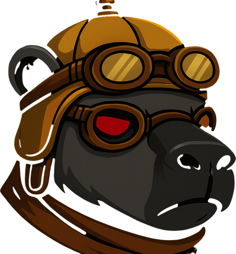 Ponle un gorro helicoptero dorado, no le quites las gafas.