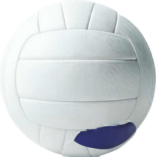 uniform volley ball