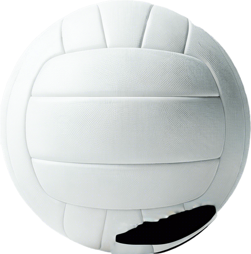 volley ball