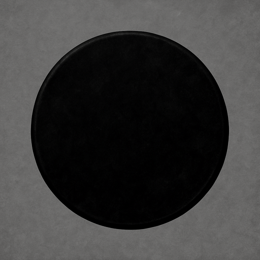 Un círculo negro realista.
In-Game asset.  2d.  High contrast.  No shadows. Realista