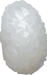 One white grain of rice