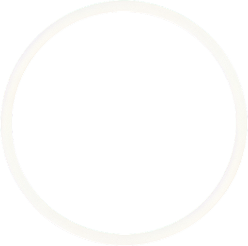 thin white circle empty.