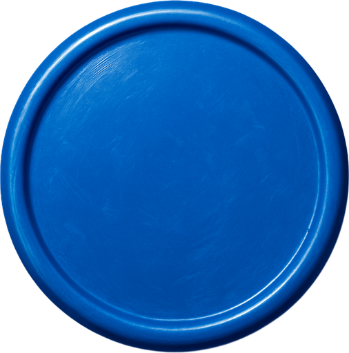 Circle realistic plastic blue.
In-Game asset.  2d.  High contrast.  No shadows