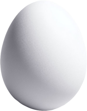 white egg.
Single Game Texture.  In-Game asset.  2d.  Blank background.  High contrast.  No shadows