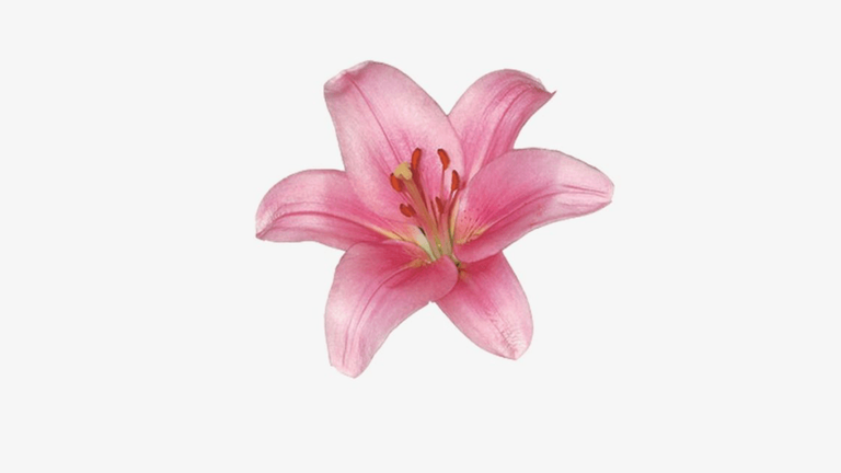 game-community-background