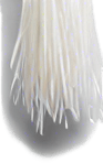 Long thin grain of rice