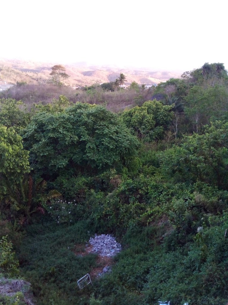 user-community-background