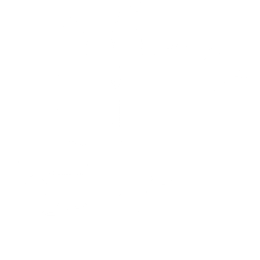 bird flying
. No background. Transparent background. Blank background. No shadows. 2d. In-Game asset. flat