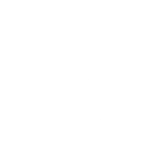 a king made out of emerald. No background. Transparent background. Blank background. No shadows. 2d. In-Game asset. flat