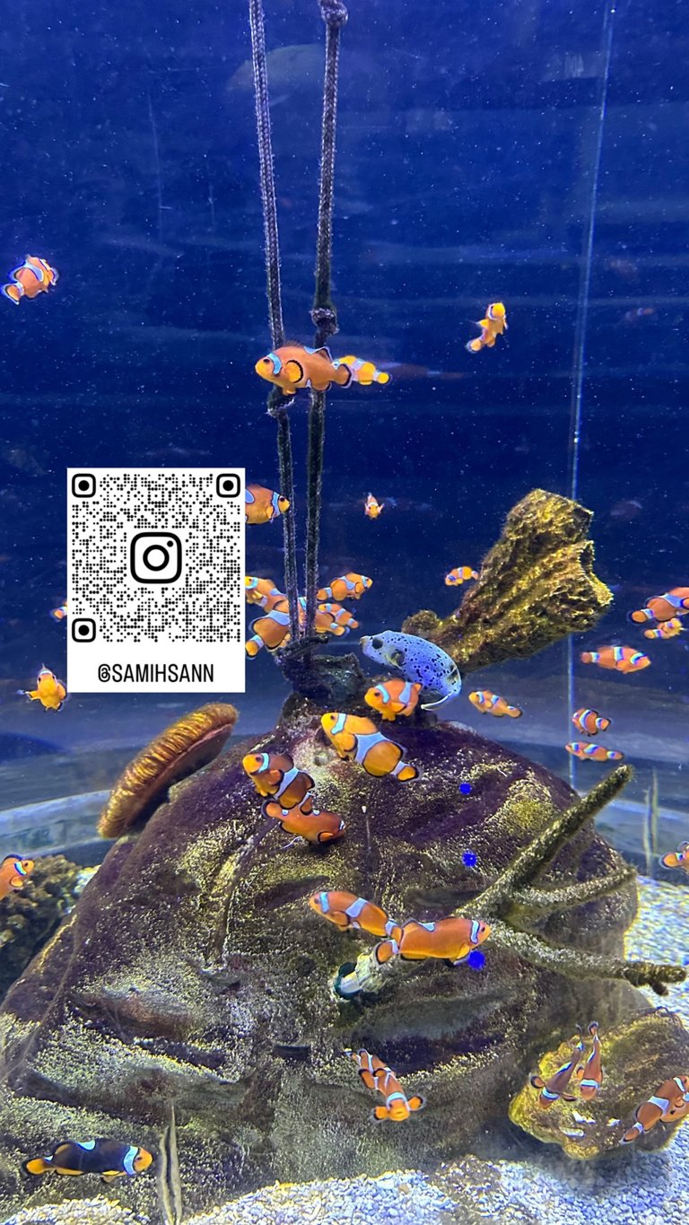 user-community-background