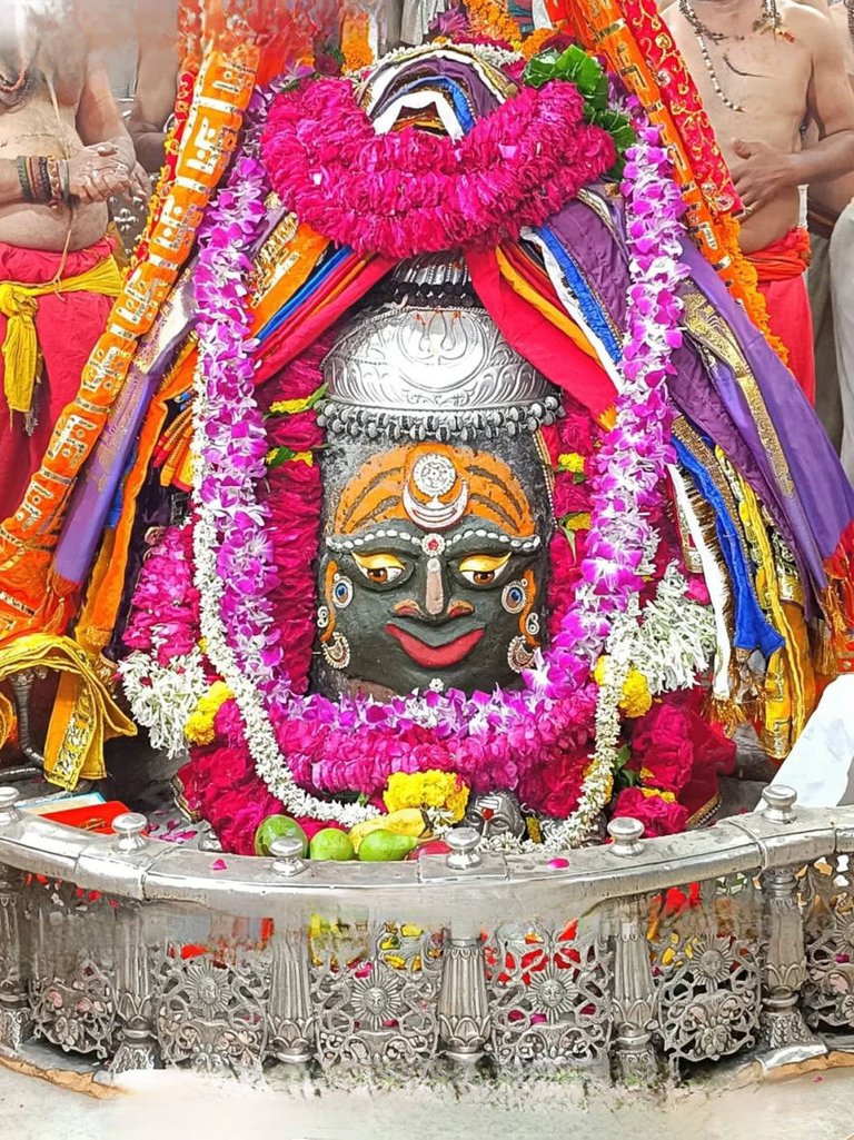 user-community-background