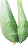 Thai rice