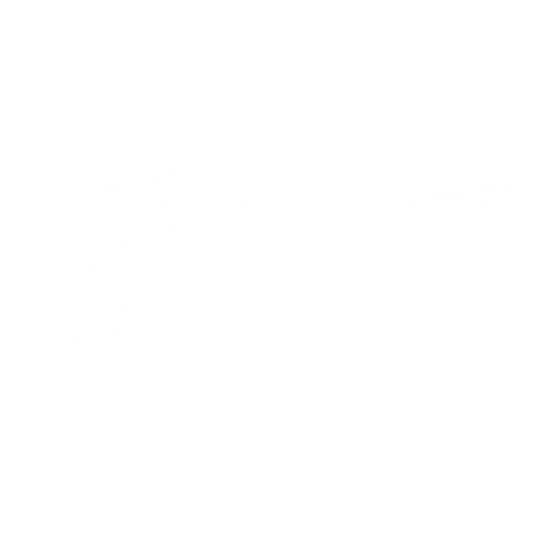 deagle with a supressor
. No background. Transparent background. Blank background. No shadows. 2d. In-Game asset. flat